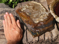 Natural Golden Blue Tigers Eye Specimen x 1 From Prieska, South Africa - TopRock