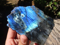 Polished One Side Polished Labradorite Slices  x 4 From Madagascar - Toprock Gemstones and Minerals 