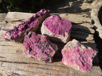 Natural Pink Salrose Cobaltion Dolomite Specimens  x 4 From Kakanda, Congo