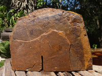 Natural Golden Blue Tigers Eye Specimen x 1 From Prieska, South Africa - TopRock