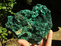 Natural Chatoyant Silky Malachite Specimens  x 2 From Congo - Toprock Gemstones and Minerals 