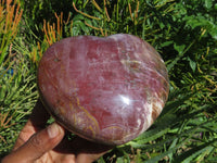 Polished Lagre Red Burgundy Podocarpus Petrified Wood Large Hearts x 2 From Mahaganja, Madagascar - TopRock