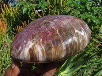 Polished Lagre Red Burgundy Podocarpus Petrified Wood Large Hearts x 2 From Mahaganja, Madagascar - TopRock