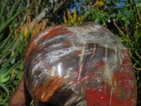 Polished Lagre Red Burgundy Podocarpus Petrified Wood Large Hearts x 2 From Mahaganja, Madagascar - TopRock