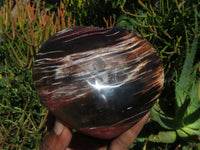 Polished Lagre Red Burgundy Podocarpus Petrified Wood Large Hearts x 2 From Mahaganja, Madagascar - TopRock