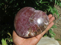 Polished Lagre Red Burgundy Podocarpus Petrified Wood Large Hearts x 2 From Mahaganja, Madagascar - TopRock