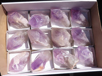 Natural Single Jacaranda Amethyst Crystals  x 12 From Mumbwa, Zambia - Toprock Gemstones and Minerals 