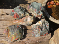 Natural Rough Bloodstone Specimens  x 5 From Swaziland