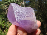 Natural Single Jacaranda Amethyst Crystals  x 12 From Mumbwa, Zambia - Toprock Gemstones and Minerals 