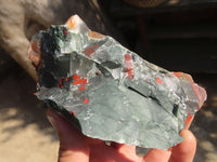 Natural Rough Bloodstone Specimens  x 5 From Swaziland