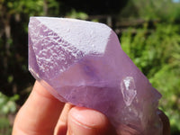 Natural Single Jacaranda Amethyst Crystals  x 12 From Mumbwa, Zambia - Toprock Gemstones and Minerals 