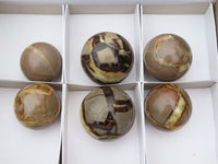 Polished Septerye (Calcite & Aragonite) Spheres x 6 From Madagascar - TopRock