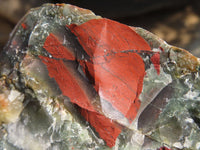 Natural Rough Bloodstone Specimens  x 5 From Swaziland