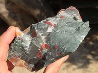 Natural Rough Bloodstone Specimens  x 5 From Swaziland