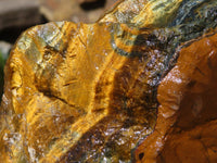 Natural Golden Blue Tigers Eye Specimen x 1 From Prieska, South Africa - TopRock