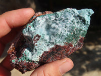 Natural Drusy Coated Chrysocolla & Malachite Dolomite Specimens x 6 From Congo