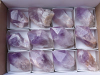 Natural Single Jacaranda Amethyst Crystals x 12 From Mumbwa, Zambia - Toprock Gemstones and Minerals 