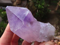 Natural Single Jacaranda Amethyst Crystals x 12 From Mumbwa, Zambia - Toprock Gemstones and Minerals 