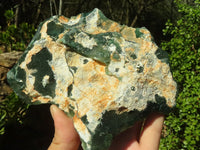 Natural Green Mtorolite / Chrome Chrysoprase Plates  x 5 From Zimbabwe - Toprock Gemstones and Minerals 