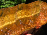 Natural Golden Blue Tigers Eye Specimen x 1 From Prieska, South Africa - TopRock