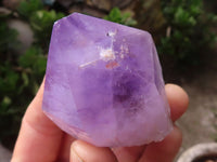 Natural Single Jacaranda Amethyst Crystals x 12 From Mumbwa, Zambia - Toprock Gemstones and Minerals 