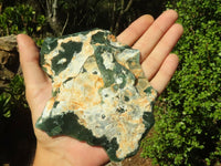 Natural Green Mtorolite / Chrome Chrysoprase Plates  x 5 From Zimbabwe - Toprock Gemstones and Minerals 