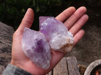 Natural Single Jacaranda Amethyst Crystals x 12 From Mumbwa, Zambia - Toprock Gemstones and Minerals 