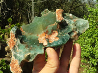 Natural Green Mtorolite / Chrome Chrysoprase Plates  x 5 From Zimbabwe - Toprock Gemstones and Minerals 