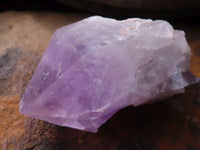 Natural Single Jacaranda Amethyst Crystals x 12 From Mumbwa, Zambia - Toprock Gemstones and Minerals 