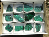 Polished Malachite Slices With Stunning Flower & Banding Patterns  x 12 From Congo - TopRock