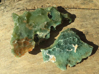 Natural Green Mtorolite / Chrome Chrysoprase Plates  x 5 From Zimbabwe - Toprock Gemstones and Minerals 