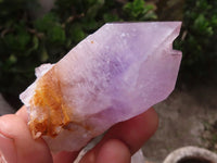 Natural Single Jacaranda Amethyst Crystals x 12 From Mumbwa, Zambia - Toprock Gemstones and Minerals 