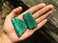 Polished Malachite Slices With Stunning Flower & Banding Patterns  x 12 From Congo - TopRock