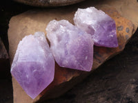 Natural Single Jacaranda Amethyst Crystals x 12 From Mumbwa, Zambia - Toprock Gemstones and Minerals 