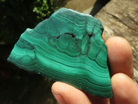 Polished Malachite Slices With Stunning Flower & Banding Patterns  x 12 From Congo - TopRock