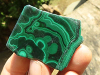 Polished Malachite Slices With Stunning Flower & Banding Patterns  x 12 From Congo - TopRock