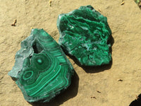 Polished Malachite Slices With Stunning Flower & Banding Patterns  x 12 From Congo - TopRock