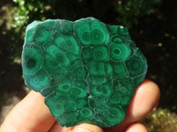 Polished Malachite Slices With Stunning Flower & Banding Patterns  x 12 From Congo - TopRock