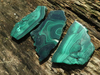 Polished Malachite Slices With Stunning Flower & Banding Patterns  x 12 From Congo - TopRock