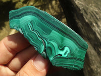 Polished Malachite Slices With Stunning Flower & Banding Patterns  x 12 From Congo - TopRock