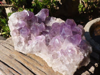 Natural Extra Large Jacaranda Amethyst Cluster x 1 From Mumbwe, Zambia