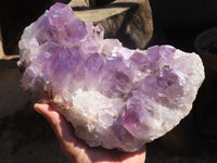 Natural Extra Large Jacaranda Amethyst Cluster x 1 From Mumbwe, Zambia