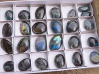 Polished Flashy Labradorite Palm Stones  x 25 From Tulear, Madagascar - TopRock