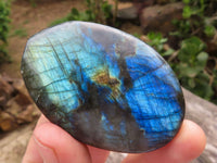 Polished Flashy Labradorite Palm Stones  x 25 From Tulear, Madagascar - TopRock