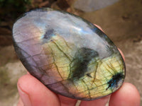 Polished Flashy Labradorite Palm Stones  x 25 From Tulear, Madagascar - TopRock