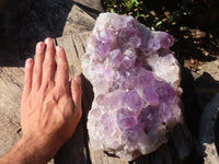 Natural Extra Large Jacaranda Amethyst Cluster x 1 From Mumbwe, Zambia