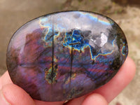 Polished Flashy Labradorite Palm Stones  x 25 From Tulear, Madagascar - TopRock