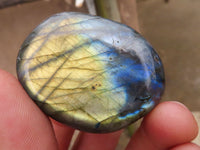 Polished Flashy Labradorite Palm Stones  x 25 From Tulear, Madagascar - TopRock