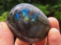 Polished Flashy Labradorite Palm Stones  x 25 From Tulear, Madagascar - TopRock