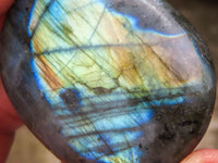 Polished Flashy Labradorite Palm Stones  x 25 From Tulear, Madagascar - TopRock